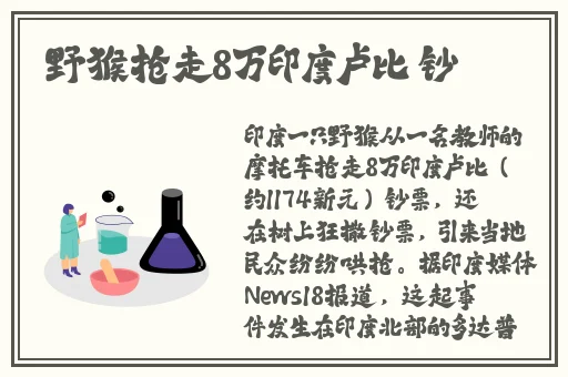看见老师的小兔兔了